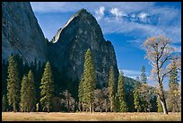 El Capitan Meadow and Cathedral Rocks in autumn. Yosemite National Park, California, USA. (color)