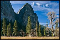 El Capitan Meadow and Cathedral Rocks in autumn. Yosemite National Park, California, USA.