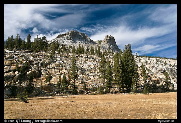 Meadow and Mount Hoffman. Yosemite National Park, California, USA.