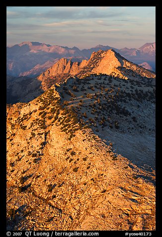 Sunset light over moutain near Mt Hoffman. Yosemite National Park (color)