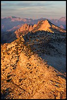 Sunset light over moutain near Mt Hoffman. Yosemite National Park, California, USA.