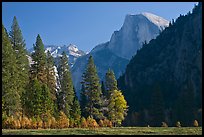 Half-Dome seen from Sentinel Meadow. Yosemite National Park, California, USA.