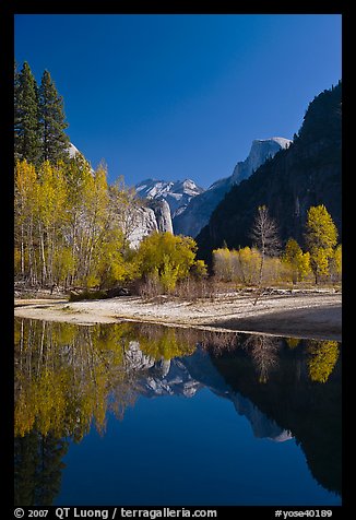 Trees in autum foliage, Half-Dome, and cliff reflected in Merced River. Yosemite National Park, California, USA.