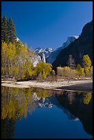 Trees in autum foliage, Half-Dome, and cliff reflected in Merced River. Yosemite National Park, California, USA.