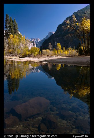 Rocks and Merced River reflections of trees and Half-DOme. Yosemite National Park (color)