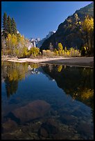 Rocks and Merced River reflections of trees and Half-DOme. Yosemite National Park, California, USA. (color)