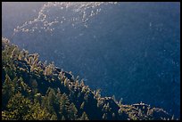 Canyon of the Tuolumne River, Hetch Hetchy Valley. Yosemite National Park, California, USA.