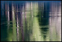 Spring reflections in Merced River. Yosemite National Park, California, USA.