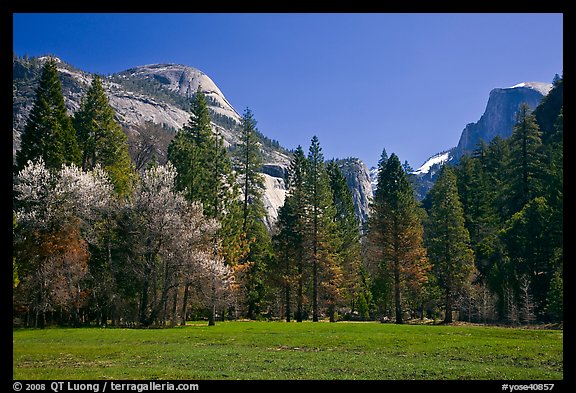 Meadow, North Dome, and Half Dome in spring. Yosemite National Park, California, USA.