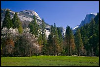 Meadow, North Dome, and Half Dome in spring. Yosemite National Park, California, USA. (color)