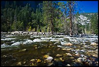 Wide stretch of Merced River in spring, Lower Merced Canyon. Yosemite National Park, California, USA. (color)