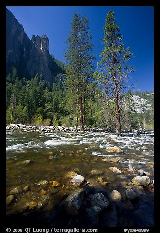 Rostrum, tall trees, and Merced River. Yosemite National Park, California, USA.