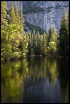 Trees reflected in river at the base of El Capitan in spring. Yosemite National Park ( color)