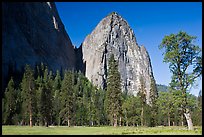 Cathedral Rocks in spring. Yosemite National Park, California, USA. (color)