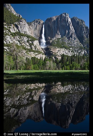 Yosemite Falls and meadow reflected in run-off pond, morning. Yosemite National Park (color)