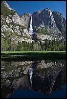 Yosemite Falls and meadow reflected in run-off pond, morning. Yosemite National Park ( color)