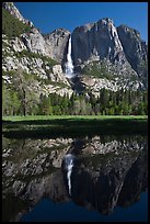 Yosemite Falls and meadow reflected in run-off pond, morning. Yosemite National Park, California, USA.