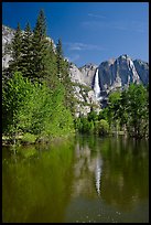 Yosemite Falls and Merced River. Yosemite National Park, California, USA.