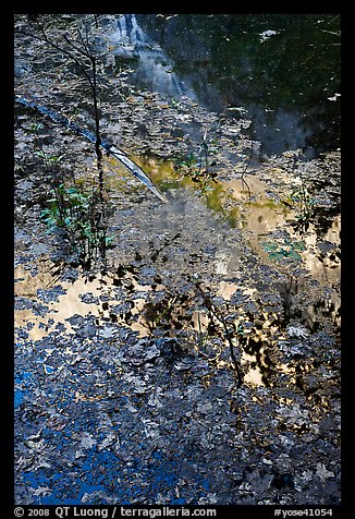 Half-Dome reflected through fallen leaves, Mirror Lake. Yosemite National Park (color)