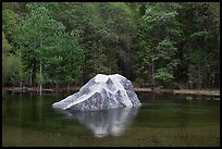 Light granite rock in Mirror Lake. Yosemite National Park, California, USA.