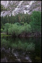 Refections and green trees, Mirror Lake. Yosemite National Park ( color)