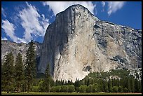 El Capitan. Yosemite National Park, California, USA.