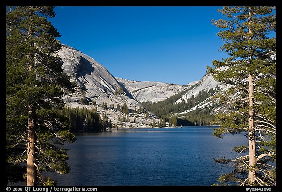 Tenaya Lake and Medlicott Dome framed by trees. Yosemite National Park (color)