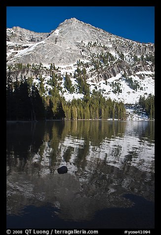 Tenaya Peak reflected in Tenaya Lake, early spring. Yosemite National Park (color)