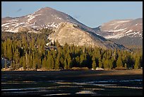 Lambert Dome and mountain, spring, Tuolumne Meadows. Yosemite National Park ( color)