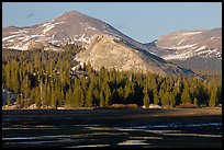 Lambert Dome and mountain, spring, Tuolumne Meadows. Yosemite National Park, California, USA.