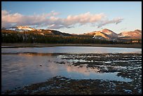 Flooded meadow in early spring at sunset, Tuolumne Meadows. Yosemite National Park, California, USA. (color)