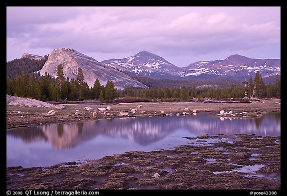 Lambert Dome and Sierra Crest peaks reflected in seasonal pond, dusk. Yosemite National Park, California, USA.