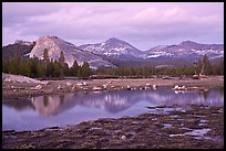 Lambert Dome and Sierra Crest peaks reflected in seasonal pond, dusk. Yosemite National Park, California, USA. (color)