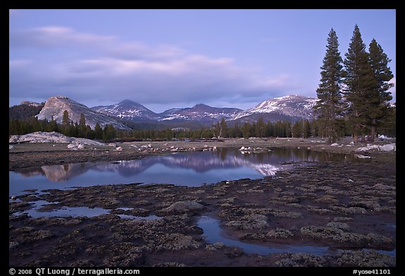 Tuolumne Meadows with domes reflected in early spring, dusk. Yosemite National Park, California, USA.