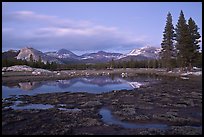 Tuolumne Meadows with domes reflected in early spring, dusk. Yosemite National Park, California, USA.