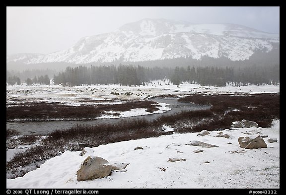 Snowy landscape near Tioga Pass. Yosemite National Park (color)