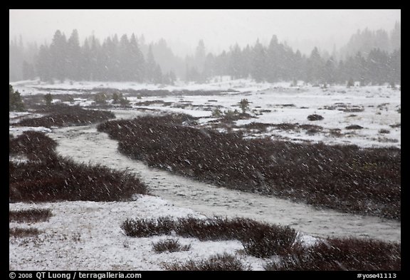 Falling snow streaks, river and meadow. Yosemite National Park (color)