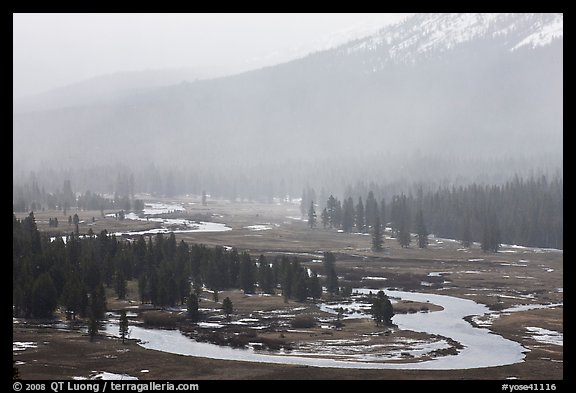 Seasonal ponds and fog, Tuolumne Meadows. Yosemite National Park, California, USA.