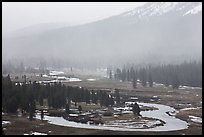 Seasonal ponds and fog, Tuolumne Meadows. Yosemite National Park ( color)