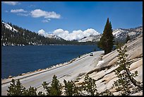 Road on shore of Tenaya Lake. Yosemite National Park, California, USA.