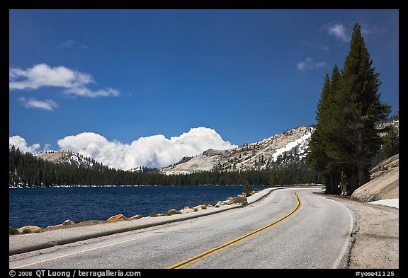 Highway hugging shore of Tenaya Lake. Yosemite National Park (color)