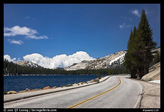 Highway hugging shore of Tenaya Lake. Yosemite National Park, California, USA.