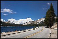 Highway hugging shore of Tenaya Lake. Yosemite National Park, California, USA.