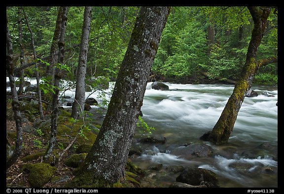 Merced River in the Spring, Happy Isles. Yosemite National Park, California, USA.