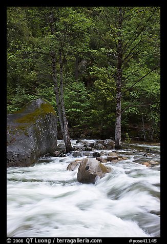 Merced River cascades, boulder, and trees, Happy Isles. Yosemite National Park, California, USA.