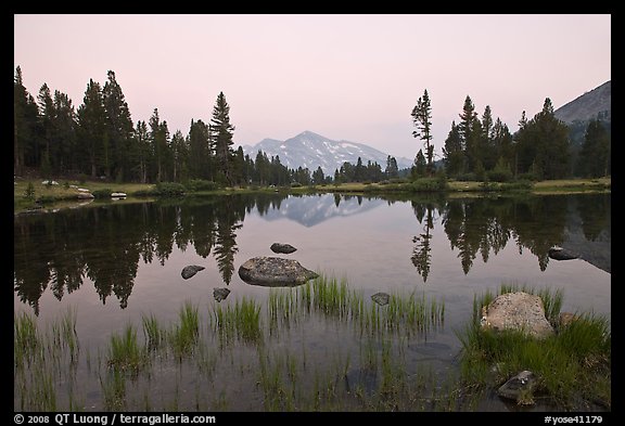 Alpine tarn near Tioga Pass and reflections at sunset. Yosemite National Park, California, USA.