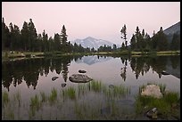Alpine tarn near Tioga Pass and reflections at sunset. Yosemite National Park ( color)