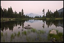 Alpine tarn near Tioga Pass and reflections at sunset. Yosemite National Park, California, USA.