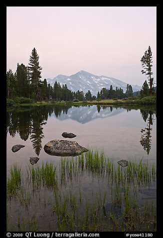 Mammoth Peak reflected in tarn at sunset. Yosemite National Park (color)