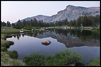 Mt Dana shoulder reflected in tarn at dusk. Yosemite National Park, California, USA.